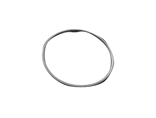 XP MI-6 and MI-4 Pinpointer Toric washer